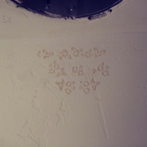 Custom Drywall Texture Pocatello