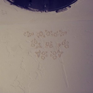 Custom Drywall Texture Pocatello