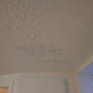 Custom Drywall Texture Pocatello