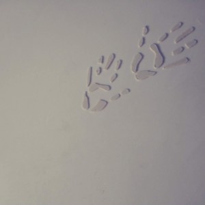 Pocatello Drywall Contractor